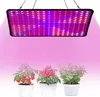 A grow light illuminates three potted plants: a tomato plant with red fruit, a chili pepper plant with red peppers, and a leafy green plant. Produktbild-Vorschau