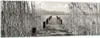 Bilder auf glas - Einteilig - Brücke Pier Sepia - 160x50cm Produktbild-Vorschau 1