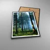 Gerahmtes Poster - Schwarzer Rahmen - Wald Dämmerung die Produktbild-Vorschau 3