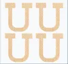 INF Patch per la correzione delle unghie dei piedi Anteprima dell’immagine prodotto 2