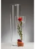 CONICAL conical round vase - klar - 19x19x70cm - Glas Produktbild-Vorschau 4
