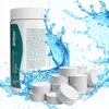 Sillar Pool Chlor Set 2kg – Schockgranulat 1kg + 10in1 Produktbild-Vorschau 2