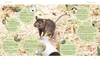 Ratten Produktbild-Vorschau 4