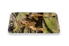 MuchoWow® Handyhülle Schutzhülle Hülle für iPhone SE 2020 Produktbild-Vorschau 5