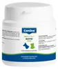 Canina Petvital Biotin-Tabs, Katze / Hund, Tablet, Produktbild-Vorschau 3