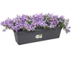 elho green basics Balkonkasten 50cm - lebhaft schwarz Produktbild-Vorschau 6