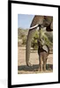 MuchoWow® MuchoWow® Gerahmtes Poster Elefant - Tiere - Gras Produktbild-Vorschau 1