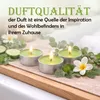 Duft-Teelichter 36er Pack – Duft Apfel, ca. 4 Stunden Produktbild-Vorschau 4