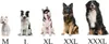Five dogs of different sizes are shown sitting down, with size labels M, L, XL, XXL, and XXXL below them. Produktbild-Vorschau