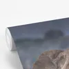 MuchoWow® Fototapete für Wohnzimmer oder Schlafzimmer Produktbild-Vorschau 3