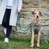 Hunter Hundemantel Uppsala Trend khaki, Größe:45 cm Produktbild-Vorschau 14