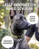 A dog wearing a collar in an outdoor setting with text overlays highlighting product features. Produktbild-Vorschau