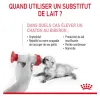 Muttermilchersatz für Kätzchen – BabyCat Milch – ROYAL Produktbild-Vorschau 2