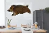 MuchoWow® Poster Schwein - Wild - Schnee 180x120 cm - Produktbild-Vorschau 4