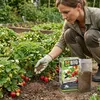 Erdbeer-Dünger 0,75 l - Hochwertig - Nährstoffreich - Für Produktbild-Vorschau 8