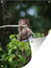 MuchoWow® Produktbild-Vorschau 1