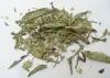 SAFLAX  - Chanvre d'eau - 100 graines - Stevia Voir les images du produit 5