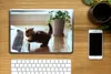 MuchoWow® Laptop Aufkleber Sticker Cover Katze - Tier - Produktbild-Vorschau 2