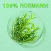 Olio di rosmarino Olio essenziale per la crescita dei Anteprima dell’immagine prodotto 13