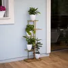 A multi-tiered plant stand with several potted plants is placed on a wooden deck next to a light blue wall. Náhľad obrázku produktu