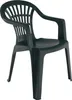 A dark green plastic garden chair shown from a three-quarter angle against a white background. Náhled obrázku produktu