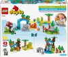 LEGO DUPLO Town Rodziny Dzikich Zwierzt 3 w 1, Edukacyjna Podgląd zdjęcia produktu 8