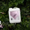 whinny X bay Mähnenspray Schicke Mähne Peach & Water Lily Produktbild-Vorschau 2