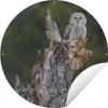 MuchoWow® Produktbild-Vorschau 1