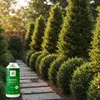 EcoDeco organické hnojivo s aloe 1 l pro trávník a keře Náhled obrázku produktu 7