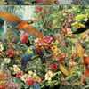 Educa - Puzzel voor volwassenen, 2000 stukjes | Vogels van Productafbeelding-voorbeeld 8