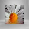 Bild auf Leinwand - Leinwandbild - Kraut Kamille Blume Produktbild-Vorschau 3