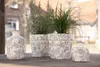 Three decorative pots with plants and two small vases are arranged on a wooden table outdoors. Voir les images du produit