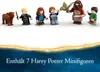 La cabane de Hagrid : Le visiteur inattendu - LEGO Harry Voir les images du produit 31