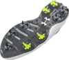 Under Armour Golf Drive Pro Chaussures de golf larges Blanc Voir les images du produit 4