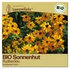 Samenliebe  Sonnenhut Samen | Rudbeckia - gelb - Produktbild-Vorschau 1