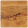 vidaXL Piano da tavolo 40x40x2,5 cm quadrato in legno Anteprima dell’immagine prodotto 8