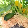 naturling Garten-Holzwolle 2,5kg für Erdbeeren und Gemüse - Produktbild-Vorschau 4