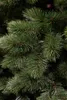 Guirlande de Noël Triumph Tree Camden - L180 cm - Vert Voir les images du produit 2
