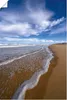 ARTland Poster Sandstrand Atlantikküste Frankreich Größe: Produktbild-Vorschau 1