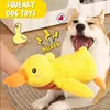 Hundespielzeug aus Plüsch für große Hunde, leises Produktbild-Vorschau 3