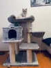 A cat is sitting on a multi-level cat tree in a room. Náhled obrázku produktu
