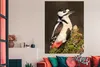 MuchoWow® Poster Ein Buntspecht in der Sonne 120x180 cm - Produktbild-Vorschau 3