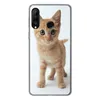 MuchoWow® Handyhülle Schutzhülle Hülle für Huawei P30 Lite Produktbild-Vorschau 1