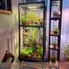 A tall, narrow glass and metal plant display cabinet filled with various indoor plants, illuminated by an LED grow light. A second, narrower shelving unit is positioned to the right. Anteprima dell’immagine prodotto