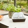 SIENA GARDEN Zimmergewächshaus Midi-Grow Produktbild-Vorschau 3