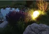 A garden scene at dusk with a pond, purple flowers, and a glowing orb light. Produktbild-Vorschau
