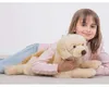 Teddy-Hermann Teddy Hermann Golden Retriever liegend, ca. Anteprima dell’immagine prodotto 8