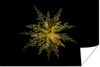 MuchoWow® Poster Eine goldfarbene Blume auf schwarzem Produktbild-Vorschau 1