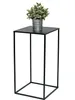 A black metal plant stand with a small potted plant on top, set against a white background. Produktbild-Vorschau