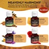 DaniChou Heavenly Harmony Massageöl Set | 4x50 ml | Produktbild-Vorschau 2